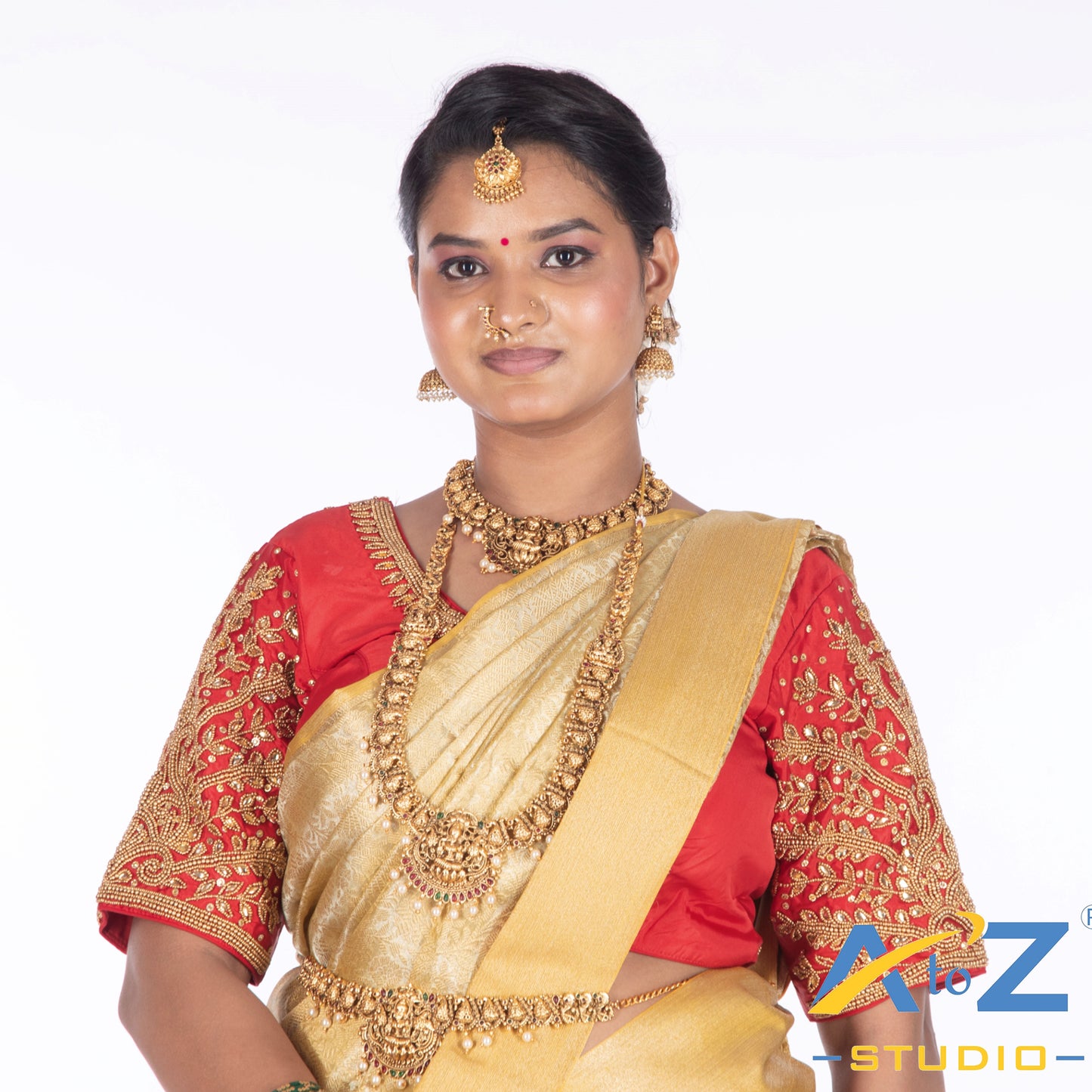 Light Red Tissue / Gold Work Blouse with Small leaf (like flower pot) and chain work Design